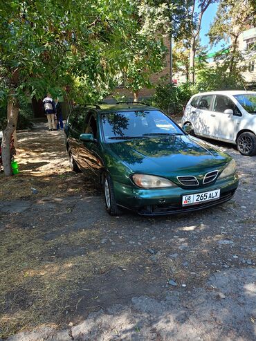 Nissan: Nissan Primera: 2001 г., 2 л, Механика, Бензин, Универсал