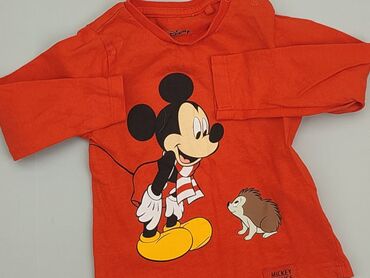 T-shirts and Blouses: Blouse, Disney, 12-18 months, condition - Perfect