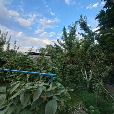 продаются полдом пишпек: Дача, 65 м², 3 комнаты, Агентство недвижимости, Старый ремонт