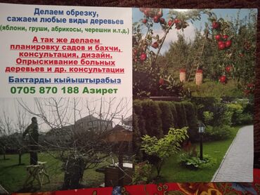 Спил деревьев, заготовка дров: Обрезка любой деревьевещё все сложности лечим больных деревьев стаж — 7
