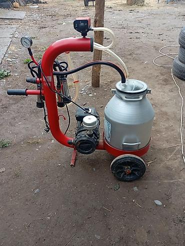 Продам доильный аппарат, производства Турция, воздушный, почти новый,с at lalafo.kg Продам доильный аппарат, производства Турция, воздушный, почти новый,с
