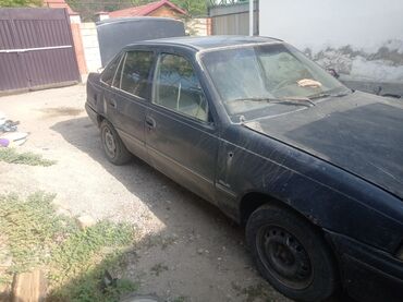 балка нексия: Эшик Алдыңкы оң Daewoo, Колдонулган, Оригинал