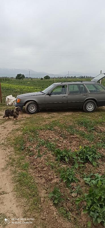 mercedes 190e: Mercedes-Benz W124: 1987 г., 2.3 л, Автомат, Бензин, Универсал — 2