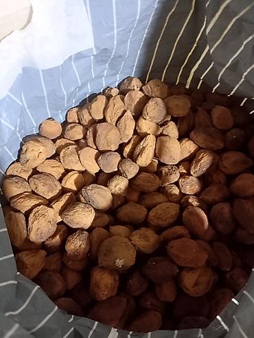 скупка рыбы: Курага баткенский (сушёные абрикоса), несульфированная - Натуральная — 1