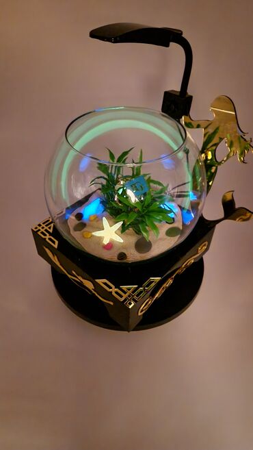 Akvariumlar: Yumru akvarium, Balıqlarla birlikdə, 3 l, Pulsuz çatdırılma — 9