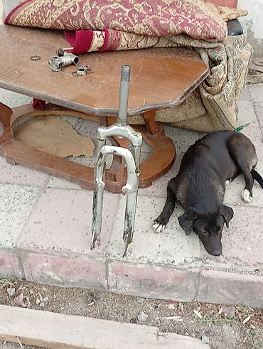 velosiped vilkası: Velosiped üçün qabaq amortizator və sükan məftili hissələri Tərkib: - — 2