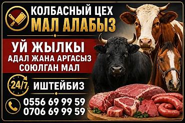 пони конь: Колбасный цех «Мал алабыз» — 1