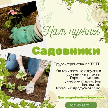 работа в бишкек без опыта: Работа садовника 10 часов 
+проживание питание униформа