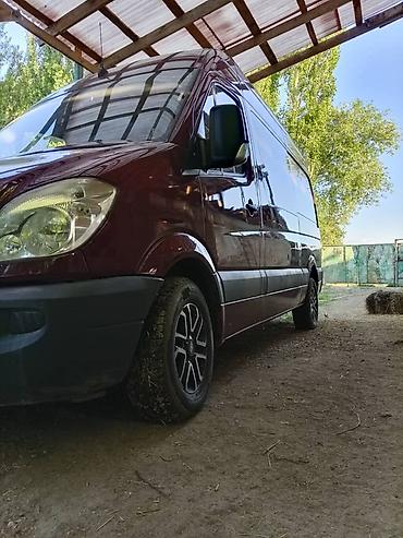 делфин мерс: Только ВАЦАП + Mercedes-Benz Sprinter (кузов W906), средний база — 3