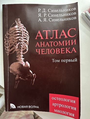 Книги, журналы, CD, DVD: Анатомия книга
