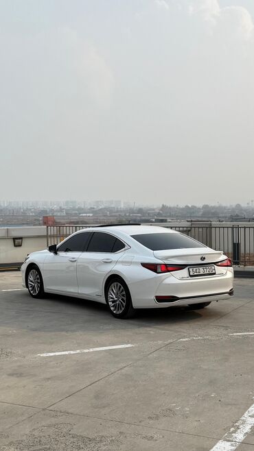 Lexus: Lexus ES: 2020 г., Седан — 19
