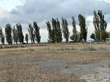 Digər kommersiya daşınmaz əmlakı: LƏNKƏRANDA. Bakı-Lənkəran magistral yolunda, Lənkəran şəhər 5 saylı — 10