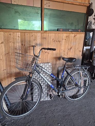 dağ velosiped: Şəhər Velosipedi – SeSS Sport Bike - Çərçivə: polad, klassik şəhər — 1