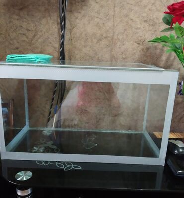бешенство животных: Карабалта Продаю новый аквариум на 60 литров