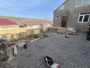 qobuda heyet evi: 3 otaqlı, 60 kv. m, Təmirsiz