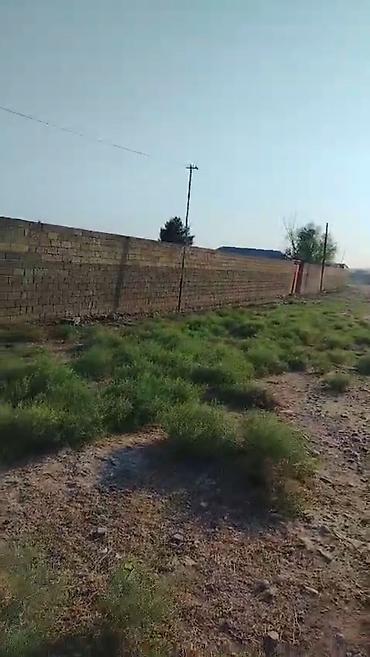 lökbatanda torpaq: 138 sot, Kənd təsərrüfatı, Mülkiyyətçi, Kupça (Çıxarış) — 3