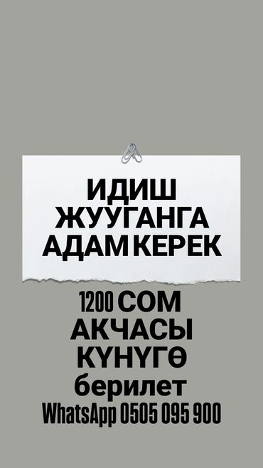 арзан идиш: Талап кылынат Идиш жуучу, Төлөм Күнүмдүк