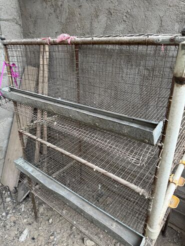 Товары и оборудование для с/х животных: Продается клетка для перепелок — 7