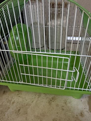 Yaşıl rəngli kiçik gəmirici qəfəsi. Hamster və oxşar ölçülü ev