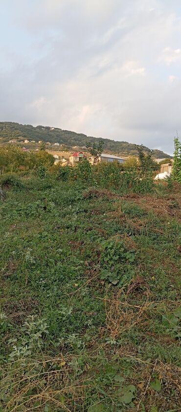 bakı şəhəri nizami rayonu m abbasov küçəsi 13: 25 sot, Kupça (Çıxarış)