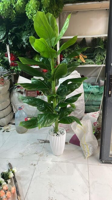 Ağaclar: Depodan bir basa satis 70azn baslayan dekarativ suni agaclar topdan — 6