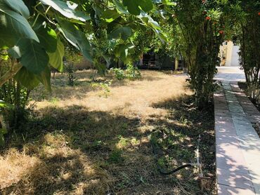 Günlük kirayə evlər: 120 kv. m, 5 otaqlı, Artezian quyusu, Su, Qaz — 4