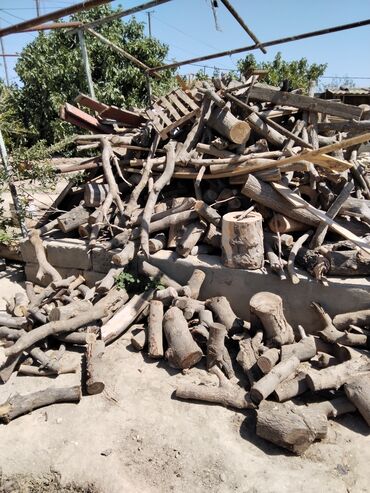 corni pol ucun taxta: Qışlıq odun