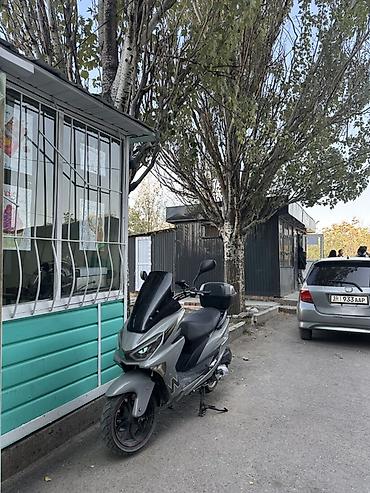 Скутеры: Скутер классового типа GT/туристический, серый металлик. Современный — 6