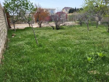 Torpaq sahələrinin satışı: 8 sot, Tikinti, Mülkiyyətçi, Kupça (Çıxarış)