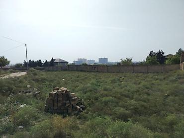 ha: 12 sot, Tikinti — 10