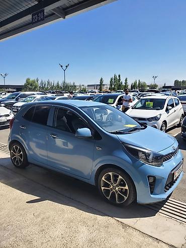 Kia: Kia Picanto: 2019 г., Автомат, Бензин, Хэтчбэк — 12