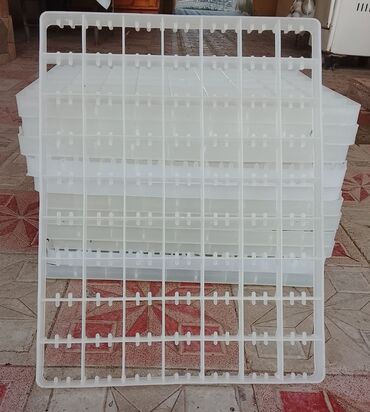 İnkubatorlar: Azərbaycan, Bütün növ quşlaq üçün — 4