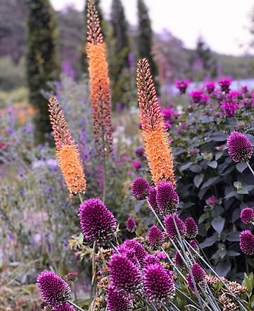 Уборка территории: Уборка территории, Стрижка газона — 4