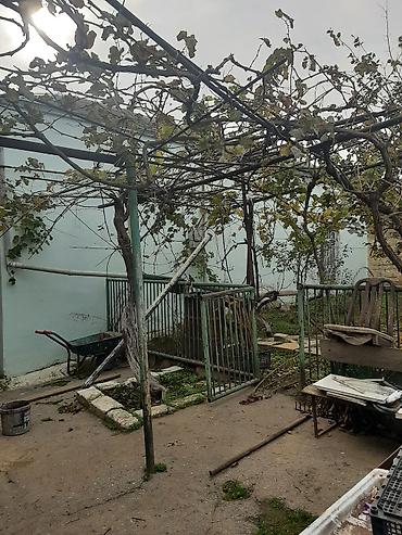 Torpaq: 13 sot, Tikinti, Maklerlər narahat etməsin, Bələdiyyə, Kupça (Çıxarış) — 3