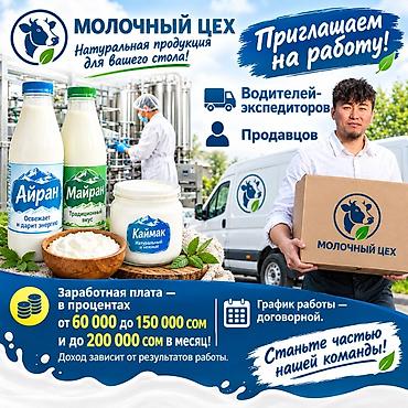 Требуется Водитель-экспедитор, Транспорт компании