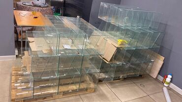 Stend vitrinləri: Mallar yenidir,3 aydır alınmışdır,maqaza baqlanib deyə satırıq — 11