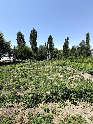 27: 📌Срочно продаётся дом в селе Кош Добо! ▪️На участке 27 соток — 2