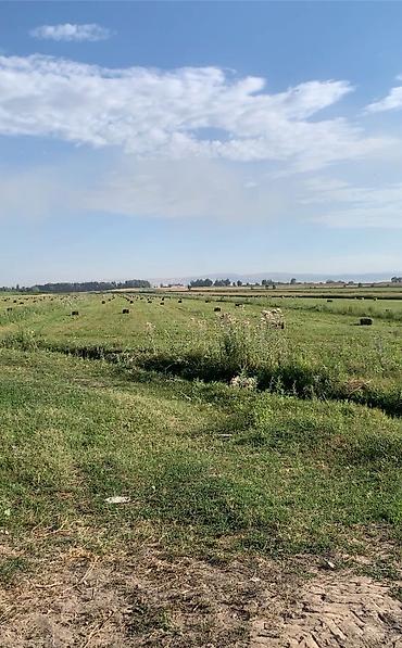 Кыймылсыз мүлк: 6 соток, Айыл чарба үчүн, Кызыл китеп — 2