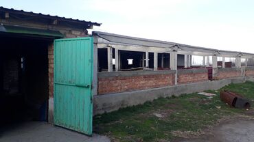 кафе в аренду: Требуется малчы, 10 коров, телята и др