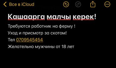 вакансии мо: Кашаарга малчы керек! Требуются работник на молочную ферму ! Мужчина