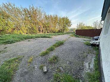 в городе кант: 13 соток, Красная книга — 2