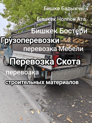 спринтер перегородка: Спринтер