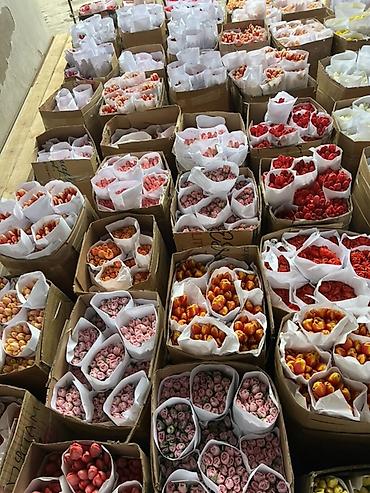 Букеты из живых цветов: Тюльпаны - Сорт: нежно-розовые тюльпаны с мягкой желтой каймой на — 7