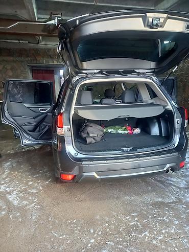 Subaru: Subaru Forester: 2019 г., 2.5 л, Автомат, Бензин, Кроссовер — 10