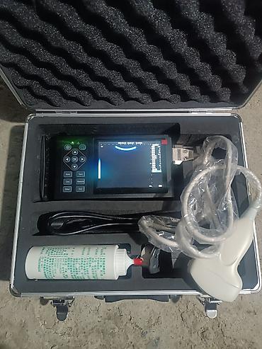 esa: Daşınan ultrasəs diaqnostika cihazı (portable USG) Xüsusiyyətlər: - — 4