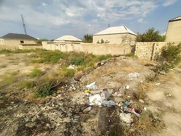 gence emlak alqi satqi: 6 sot, Tikinti, Mülkiyyətçi, Kupça (Çıxarış) — 2