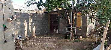 куплю коттедж на ик: 4 комнаты, 72 м², 6 соток, Каракол, Собственник — 4