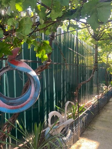 Канцтовары: Продаём хорошую недвижимость сами хозяева в городе!!! Больше фото at lalafo.kg — 23 Канцтовары: Продаём хорошую недвижимость сами хозяева в городе!!! Больше фото — 23