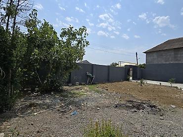 gencede torpaq sahesi satilir: Mingəçevir, 130 kv. m, 3 otaqlı, Hovuzsuz, Telefon, İnternet, Su — 4