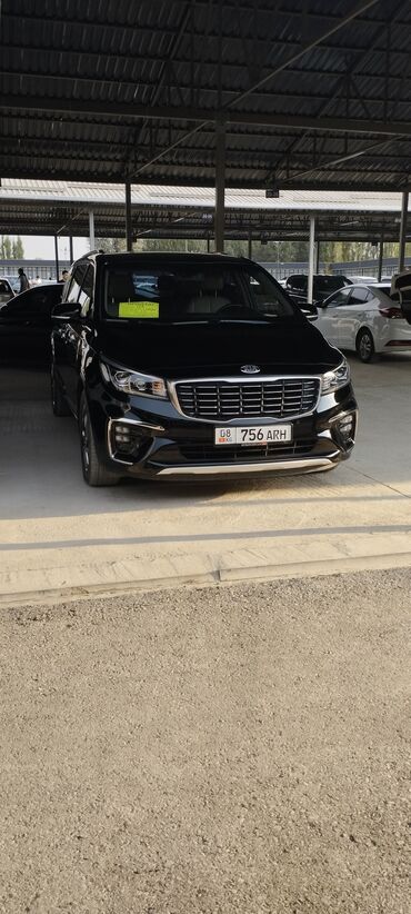 экран для радиаторов: Минивэн Kia Carnival черного цвета, предназначенный для комфортных